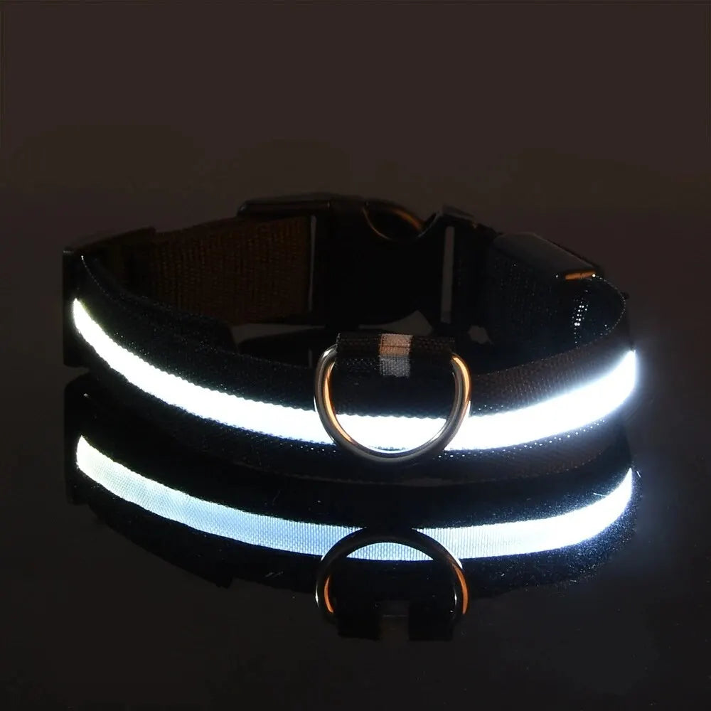 LED Glow Dog Leash