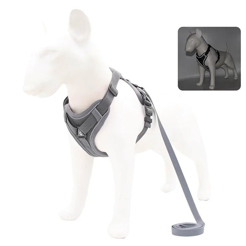 No-Pull Comfort Harness Set