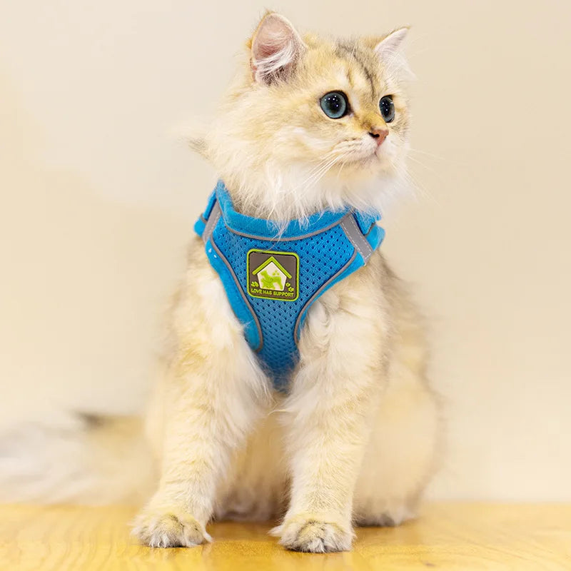 Reflective Mesh Pet Harness Set