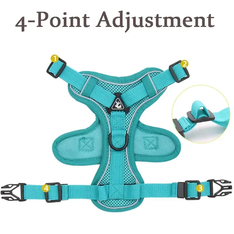 No-Pull Comfort Harness Set