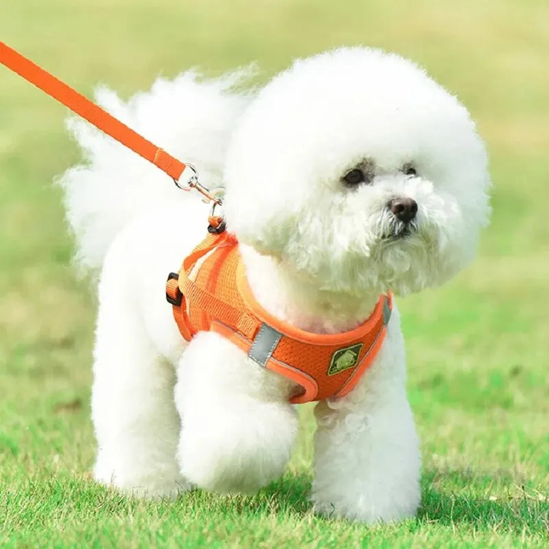 Reflective Mesh Pet Harness Set