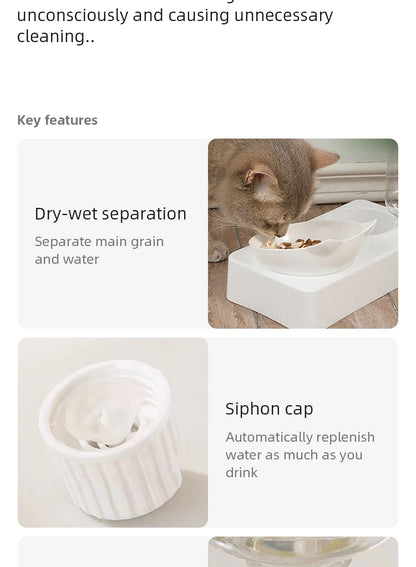 Tilted Comfort Pet Feeder