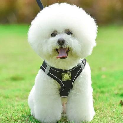 Reflective Mesh Pet Harness Set