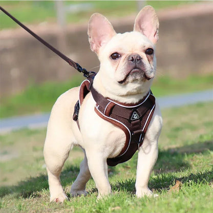 No-Pull Comfort Harness Set