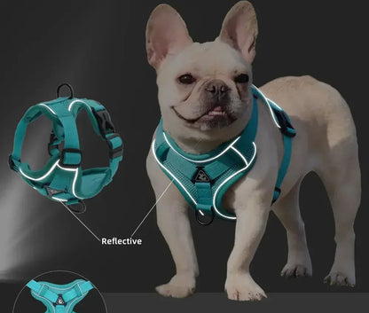 No-Pull Comfort Harness Set