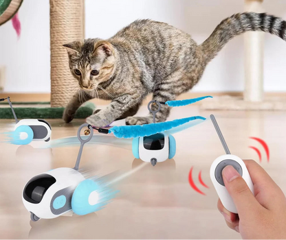 Interactive Pet Play Car