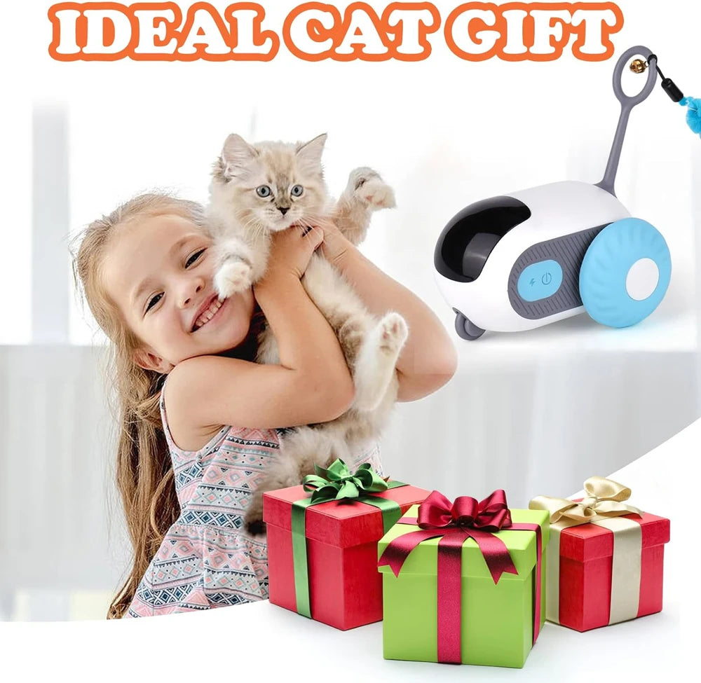 Interactive Pet Play Car