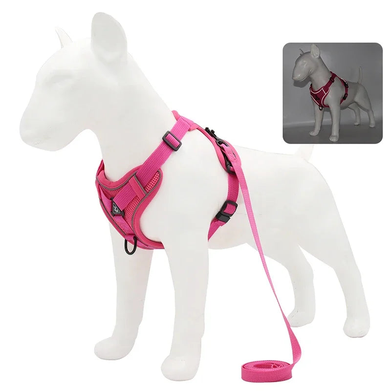 No-Pull Comfort Harness Set