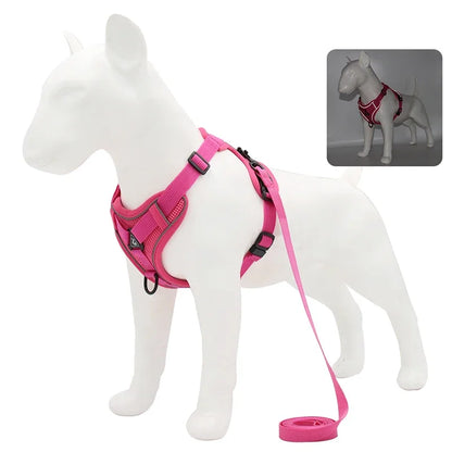 No-Pull Comfort Harness Set