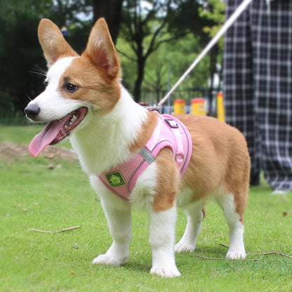 Reflective Mesh Pet Harness Set