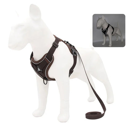No-Pull Comfort Harness Set