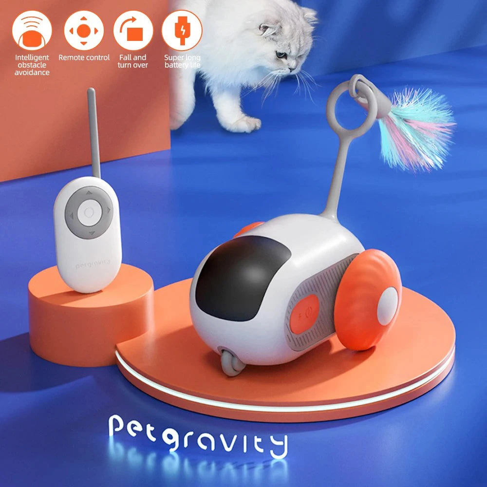 Interactive Pet Play Car