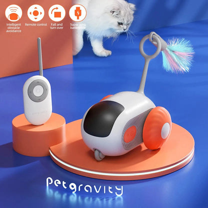 Interactive Pet Play Car