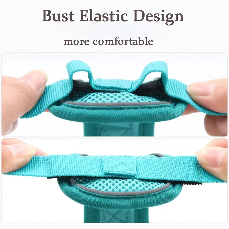 No-Pull Comfort Harness Set
