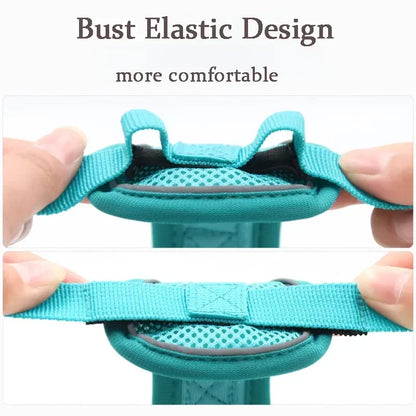 No-Pull Comfort Harness Set