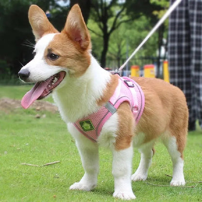 Reflective Mesh Pet Harness Set