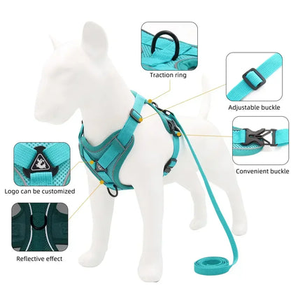 No-Pull Comfort Harness Set