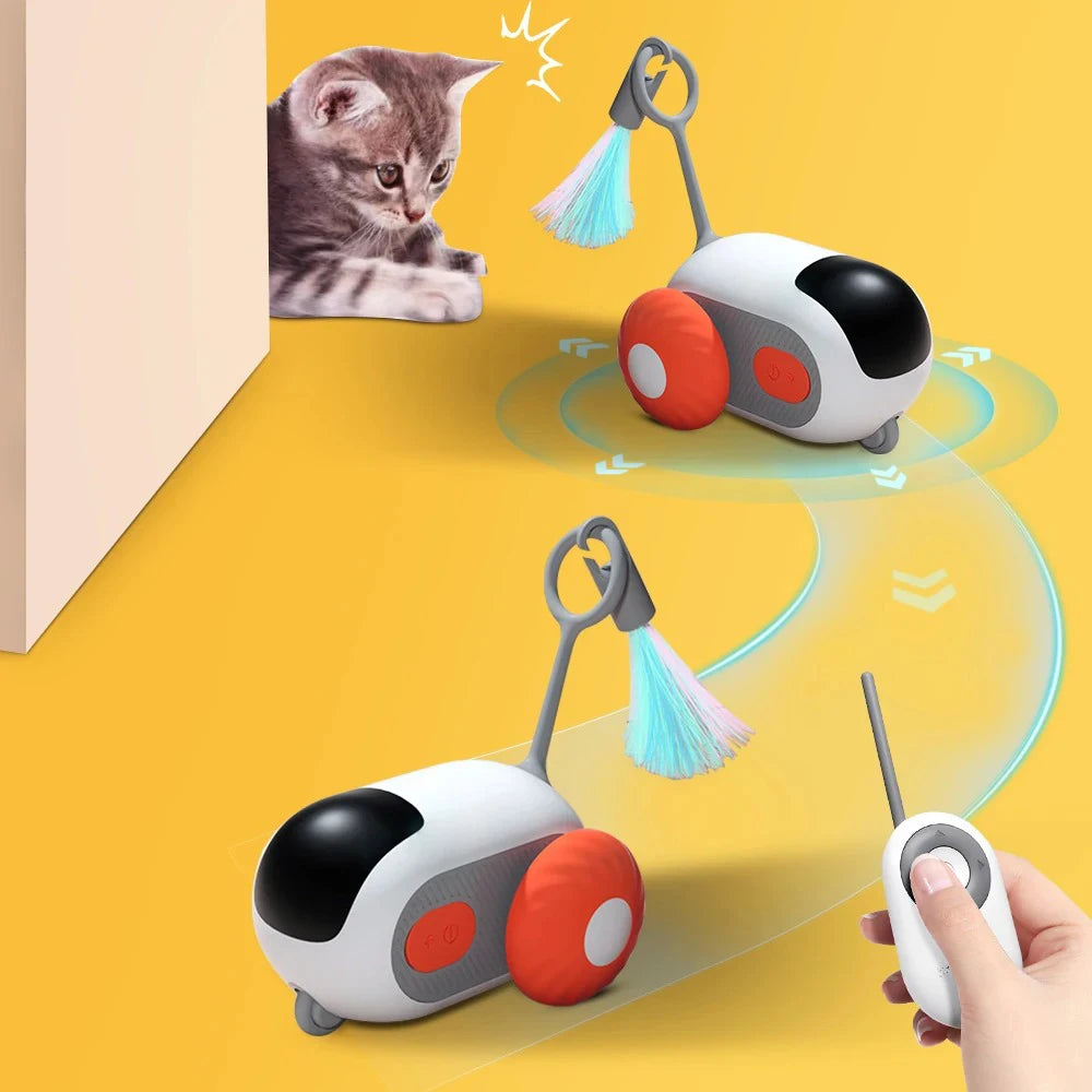 Interactive Pet Play Car