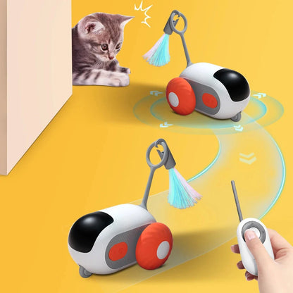 Interactive Pet Play Car