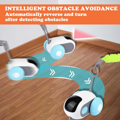 Interactive Pet Play Car