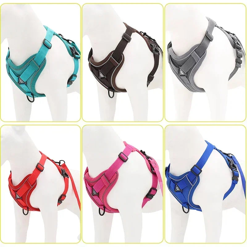 No-Pull Comfort Harness Set
