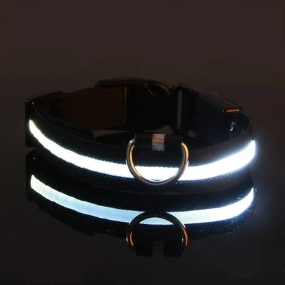 LED Glow Dog Leash