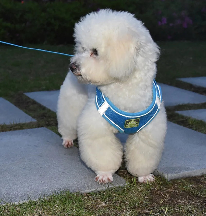 Reflective Mesh Pet Harness Set