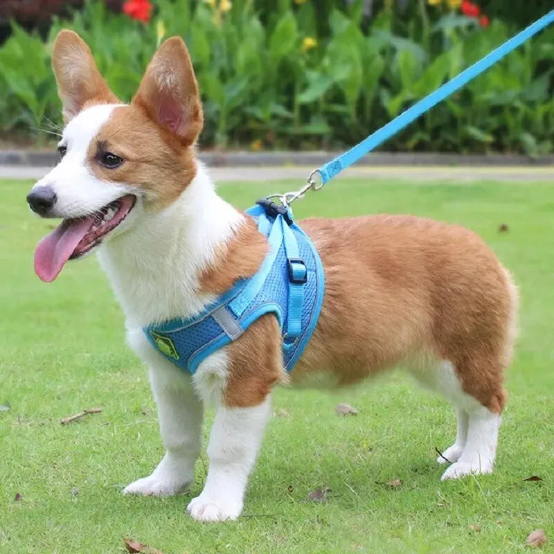 Reflective Mesh Pet Harness Set