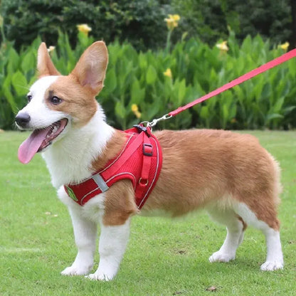 Reflective Mesh Pet Harness Set