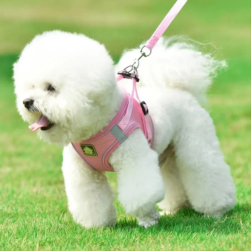 Reflective Mesh Pet Harness Set
