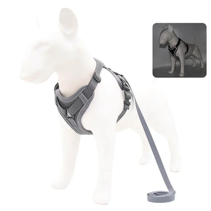 No-Pull Comfort Harness Set