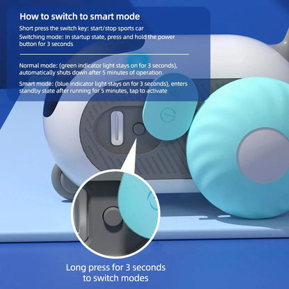 Interactive Pet Play Car
