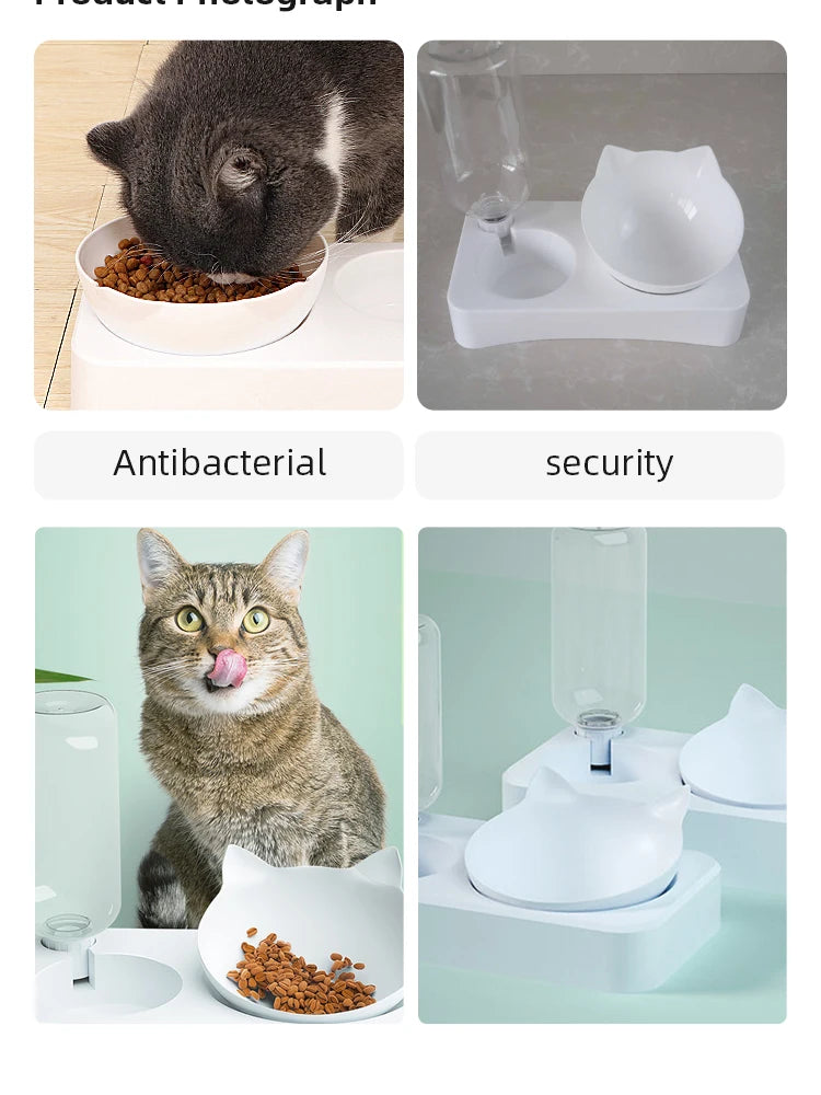 Tilted Comfort Pet Feeder