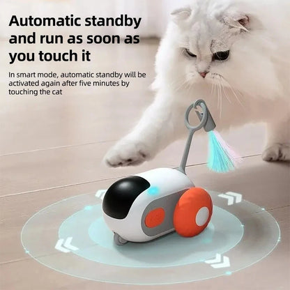 Interactive Pet Play Car