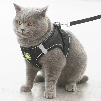Reflective Mesh Pet Harness Set