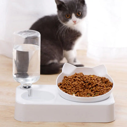 Tilted Comfort Pet Feeder
