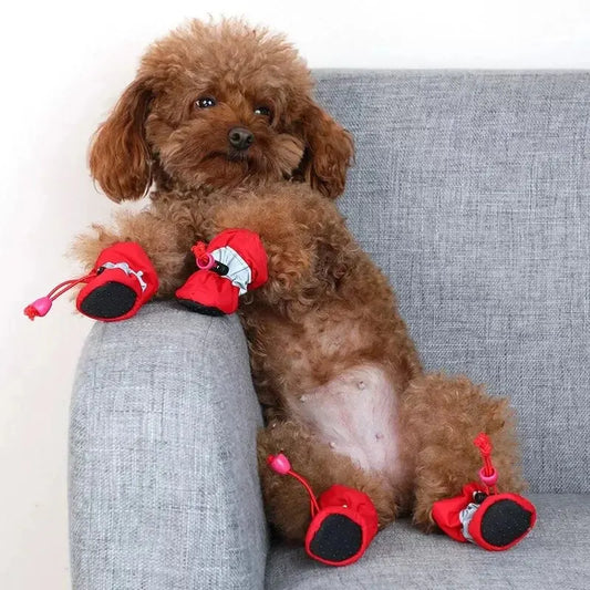 Cozy Paws Snow Boots