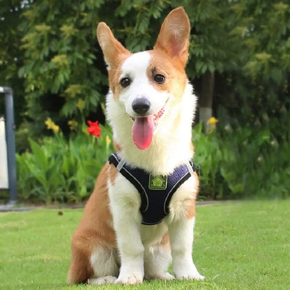 Reflective Mesh Pet Harness Set