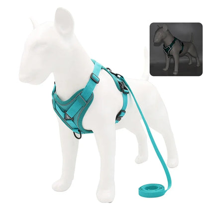 No-Pull Comfort Harness Set