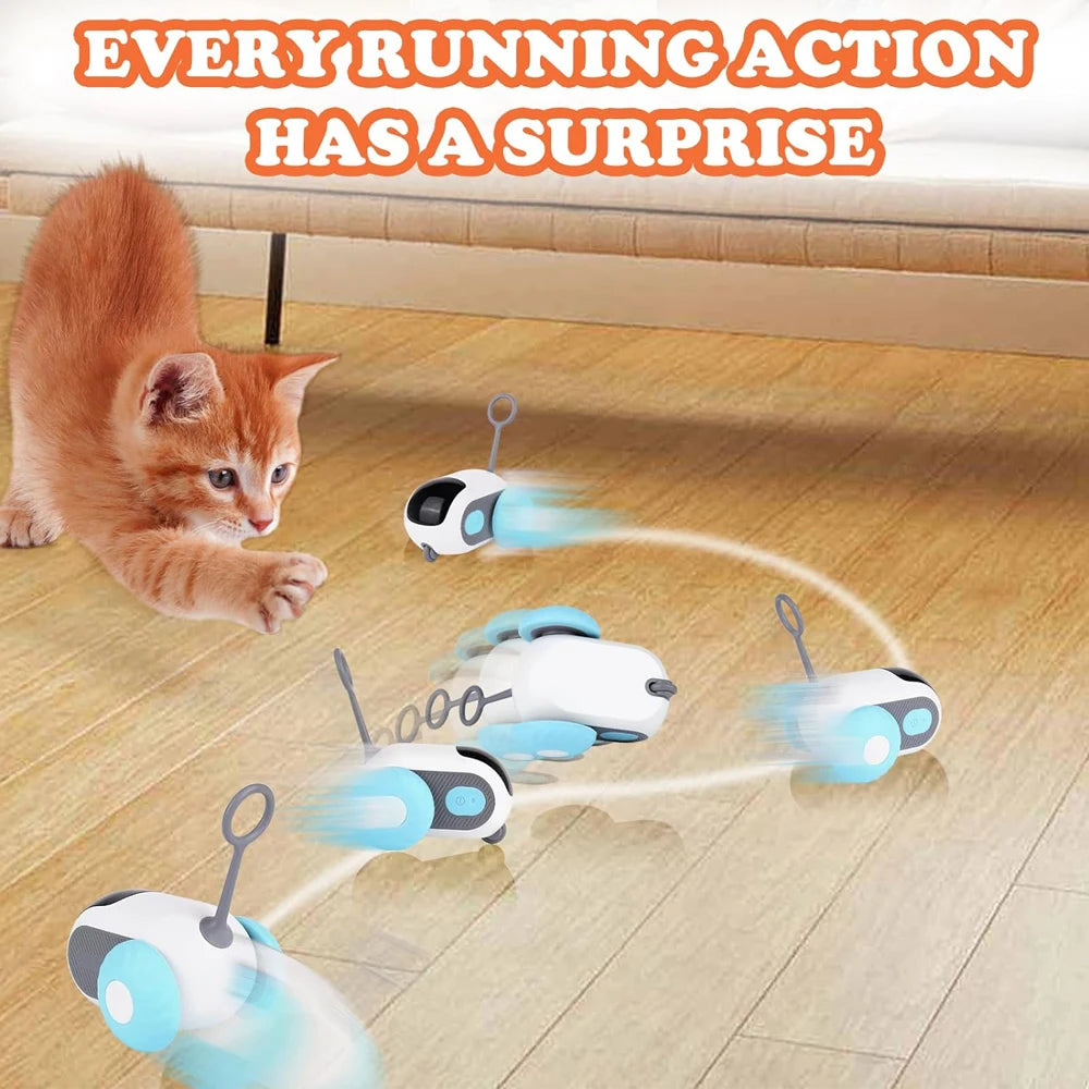 Interactive Pet Play Car