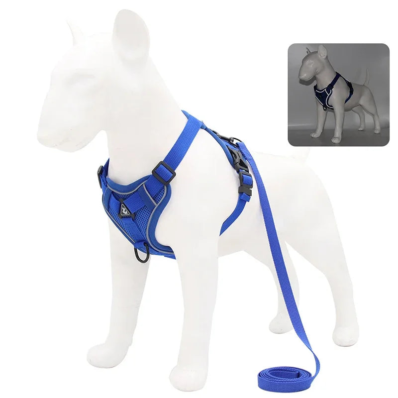 No-Pull Comfort Harness Set