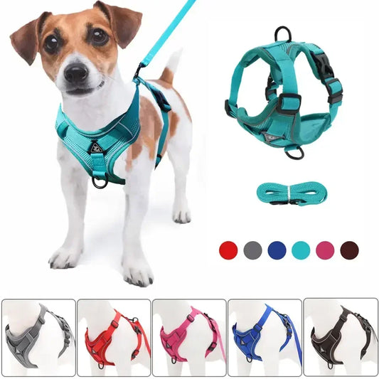 No-Pull Comfort Harness Set