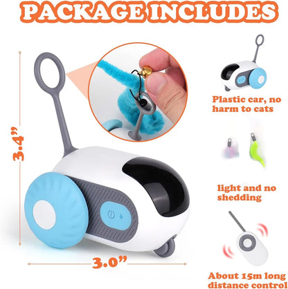 Interactive Pet Play Car