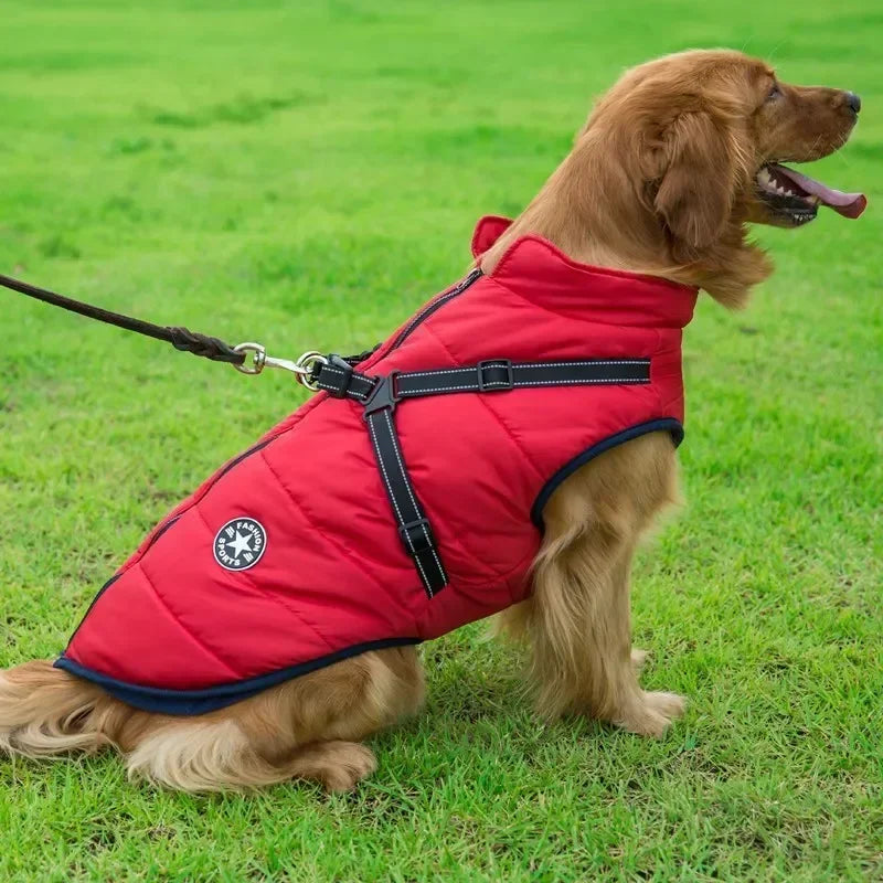 Cozy Pup Harness Jacket