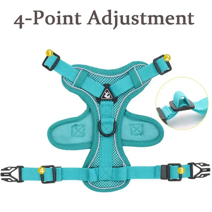 No-Pull Comfort Harness Set