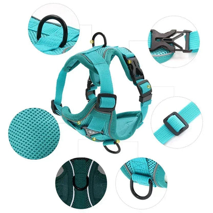 No-Pull Comfort Harness Set