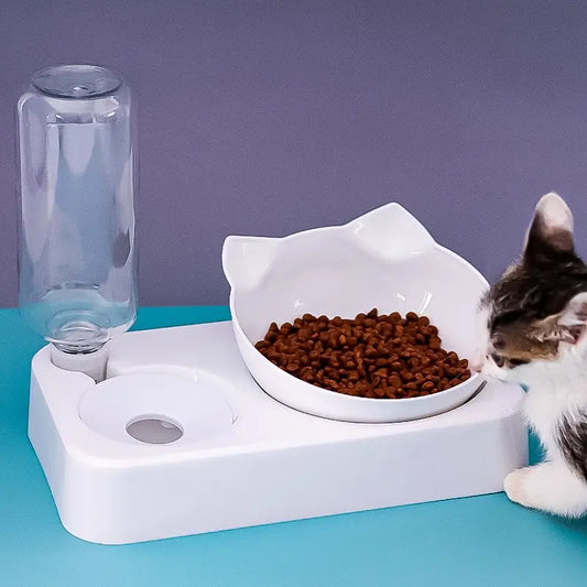 Tilted Comfort Pet Feeder