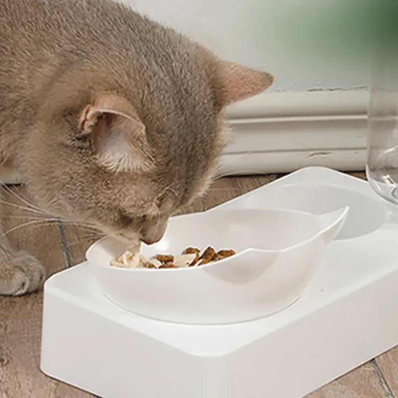 Tilted Comfort Pet Feeder