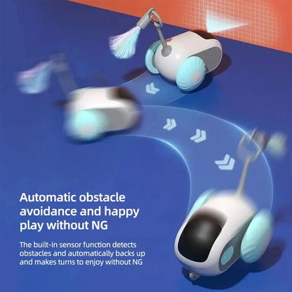 Interactive Pet Play Car