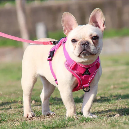 No-Pull Comfort Harness Set